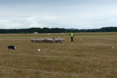 agriacup26_04