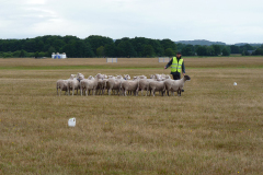 agriacup26_05