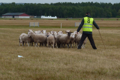 agriacup26_07