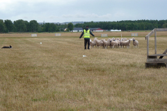 agriacup26_09