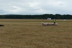 agriacup26_11