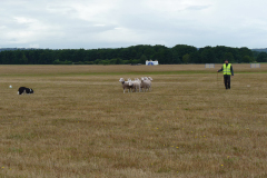 agriacup26_12
