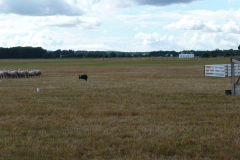 agriacup26_20