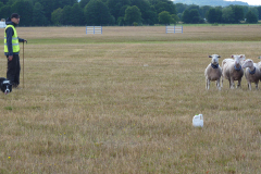 agriacup26_21