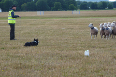 agriacup26_22