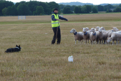 agriacup26_23