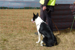 agriacup26_01