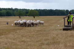 agriacup26_03