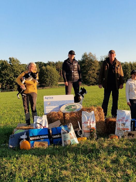 Topp-3-unghundscupen