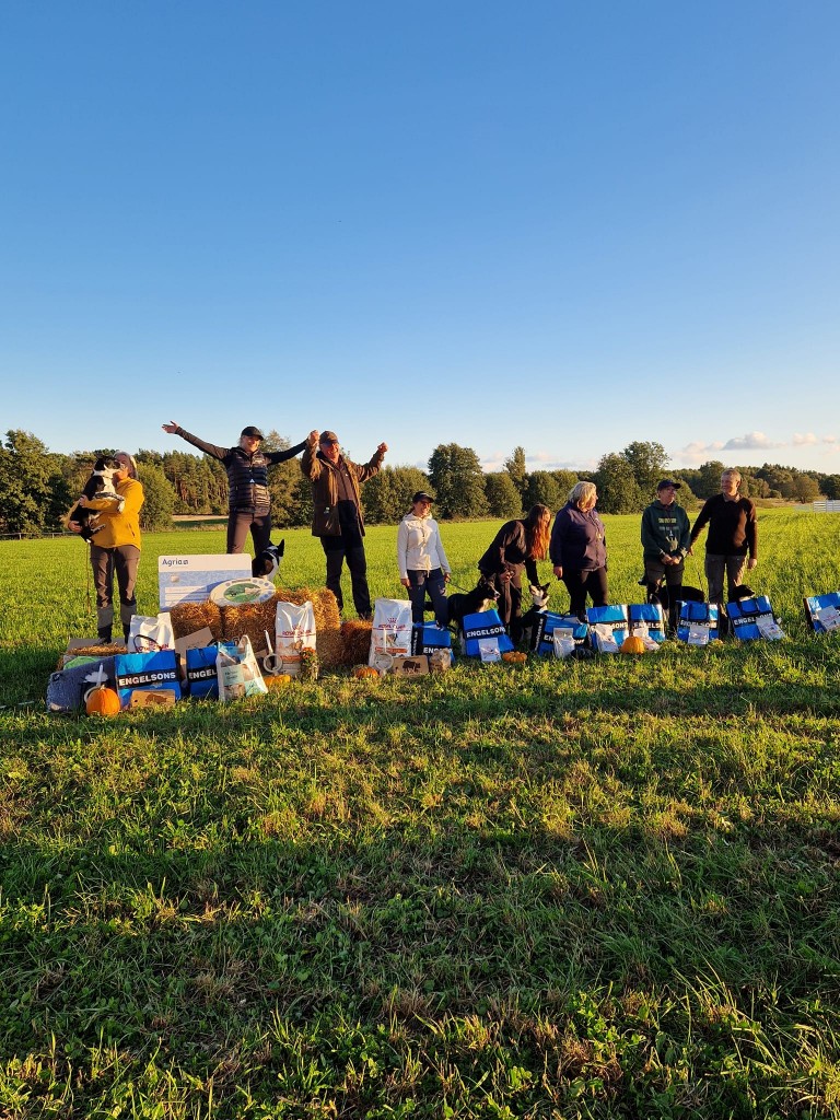 Unghundscupen 2024