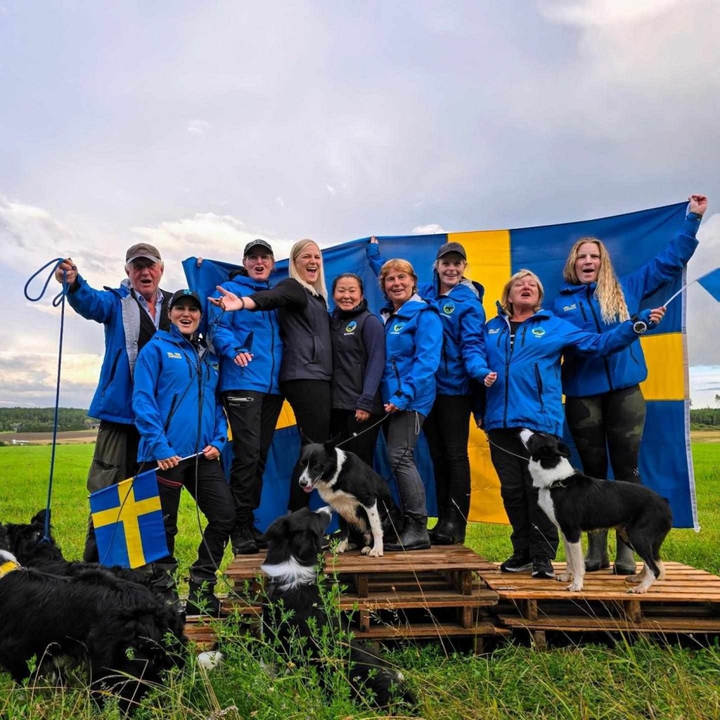 Laget som tog guld på NM 2024