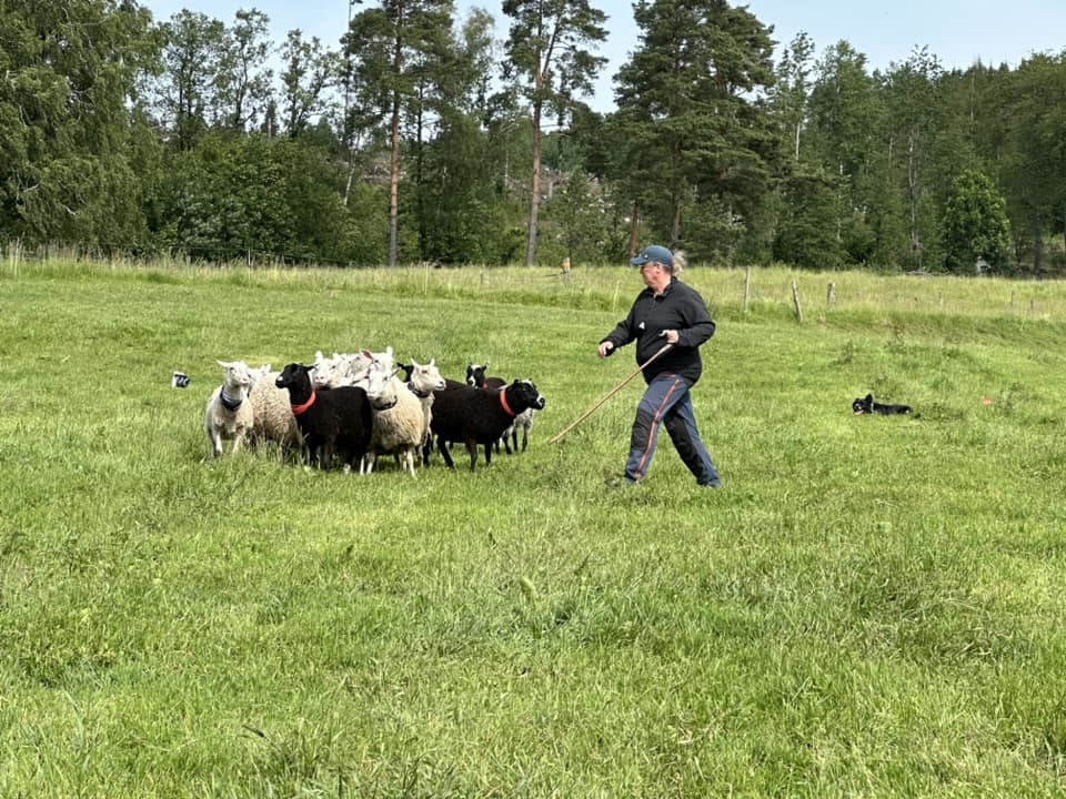 Landslagslägret 2024