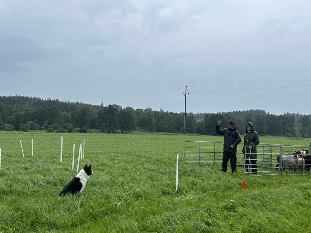 Landslagslägret 2024