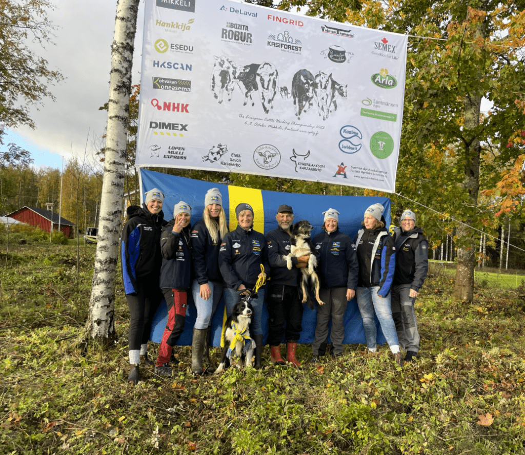 Nötlandslaget
