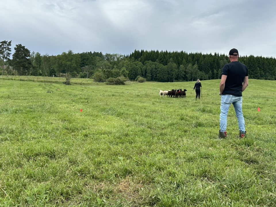 Landslagslägret 2024