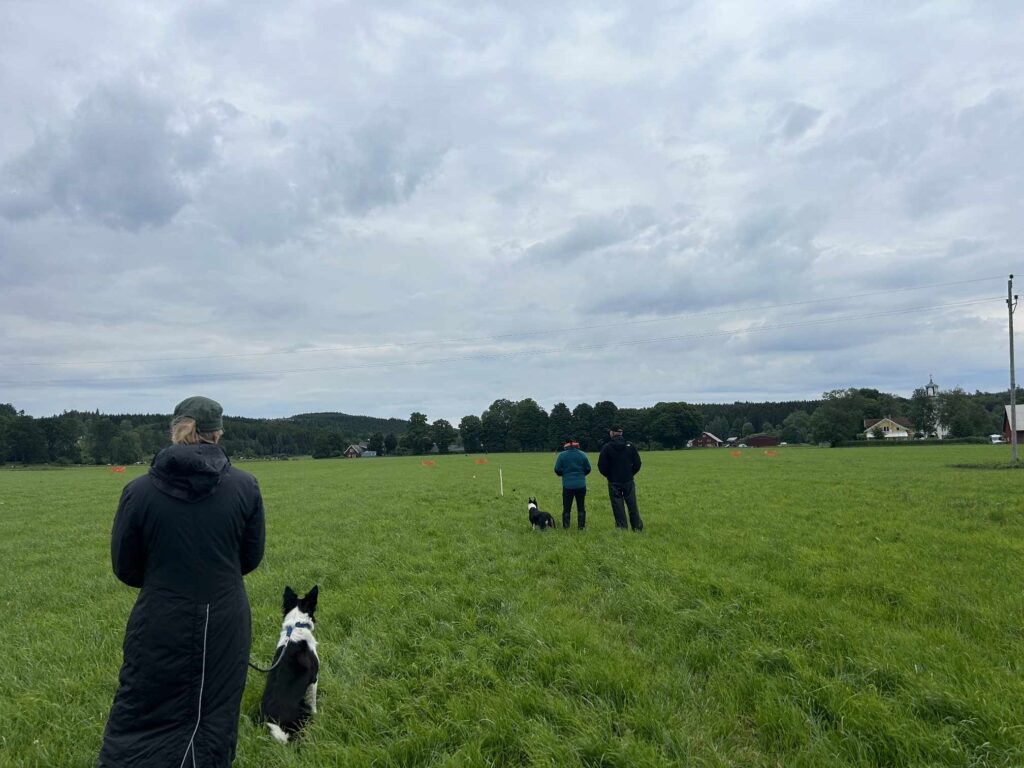 Landslagslägret 2024
