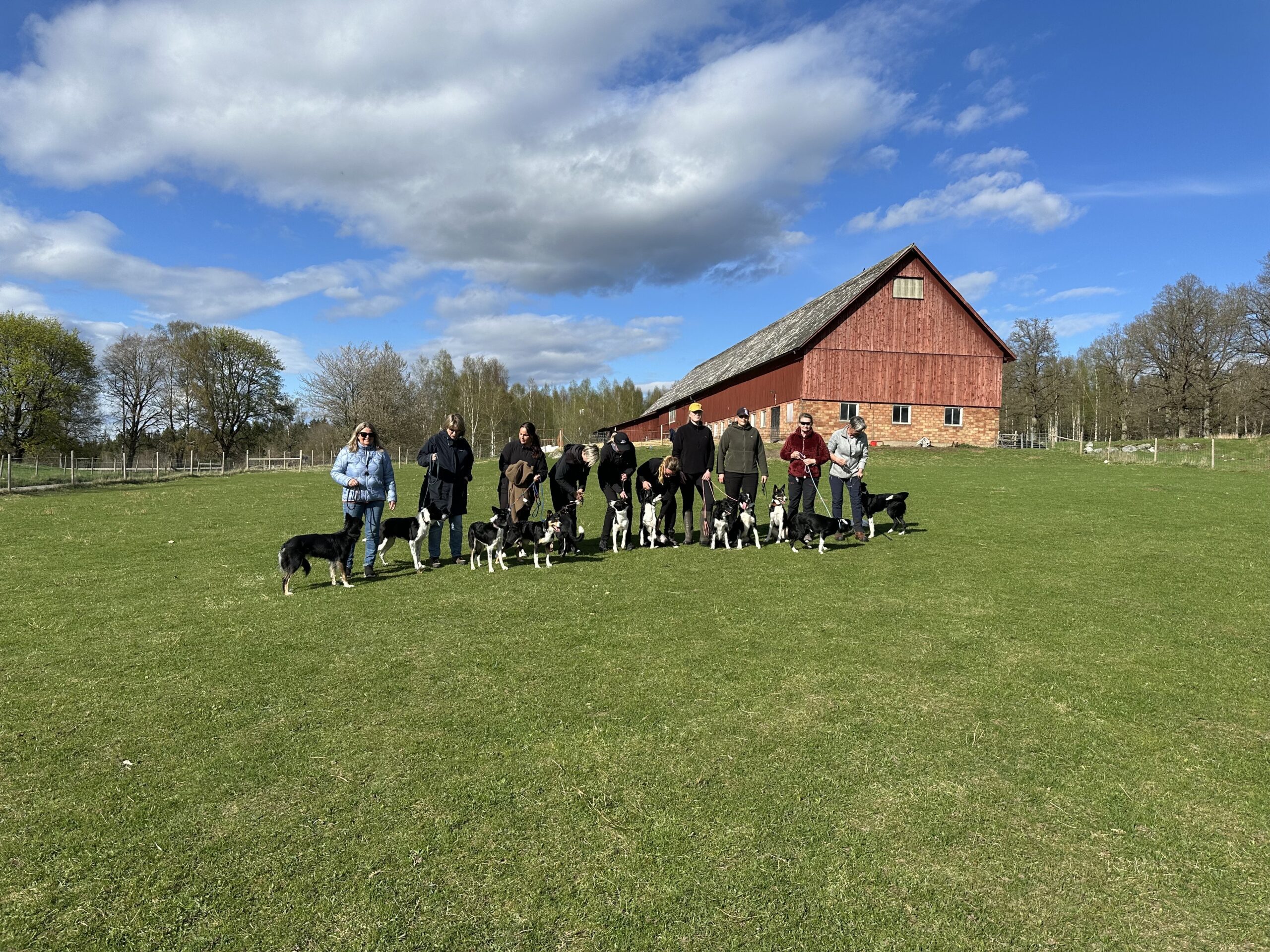 Deltagare Steg1, 2025