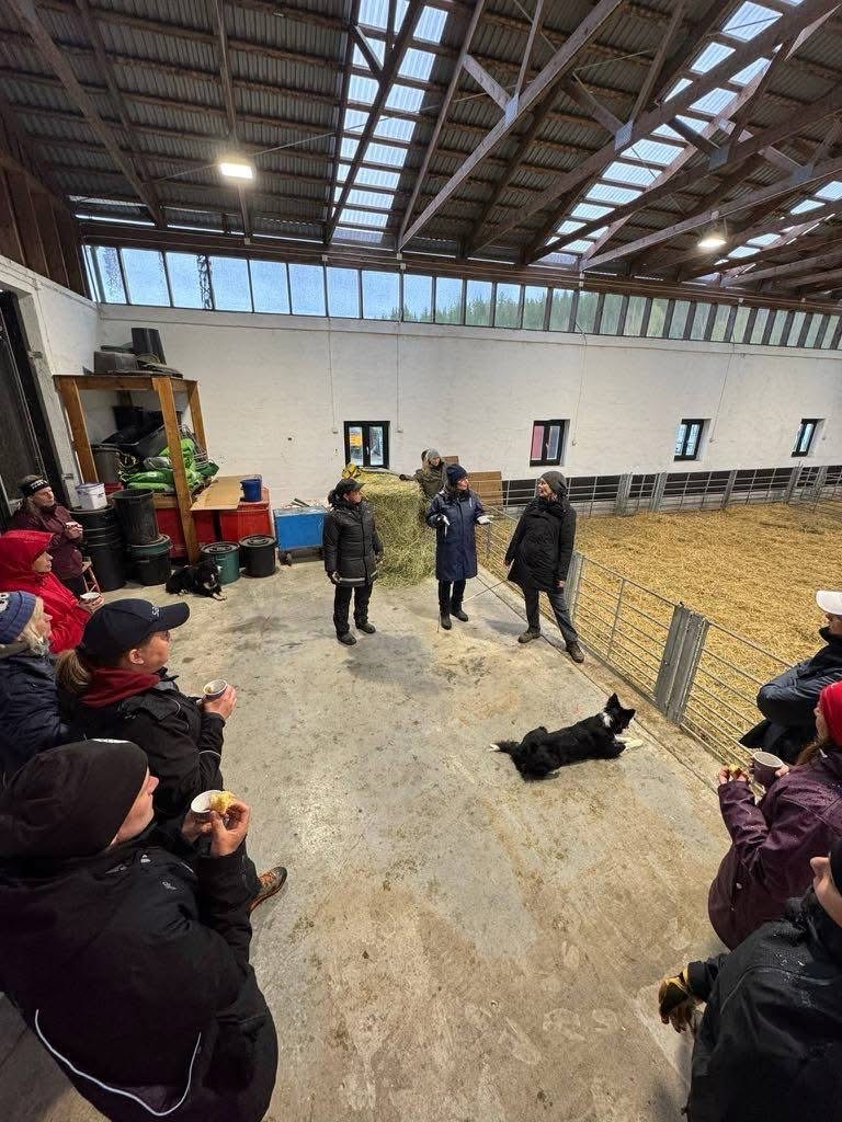 Träningsekipage Steg 2 2025