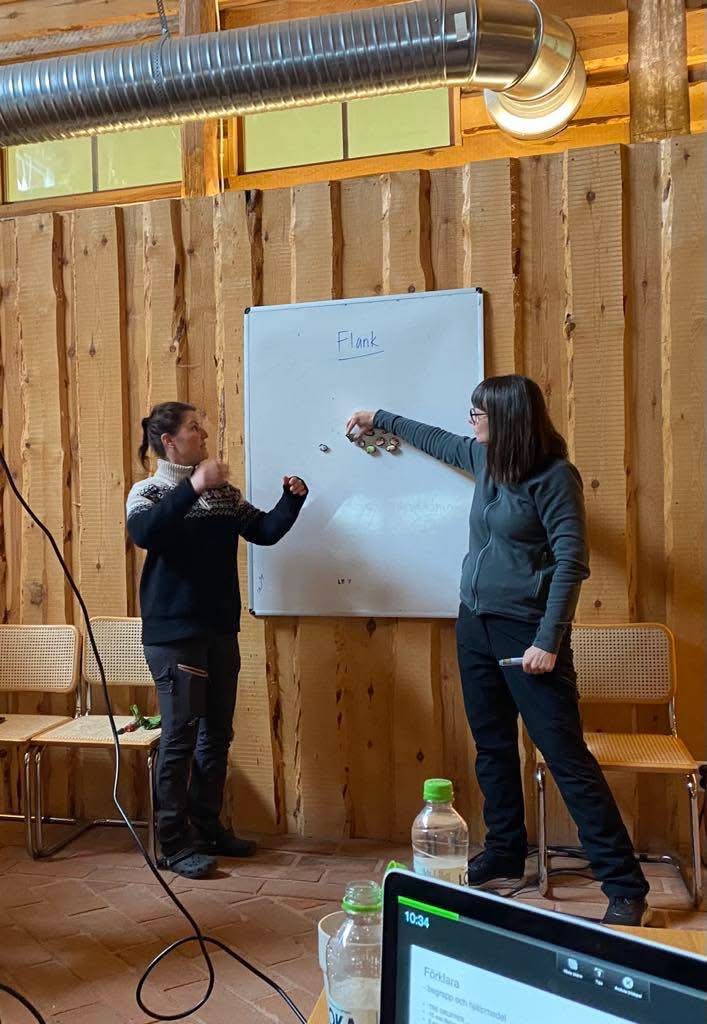 Teori och redovisning Steg 2