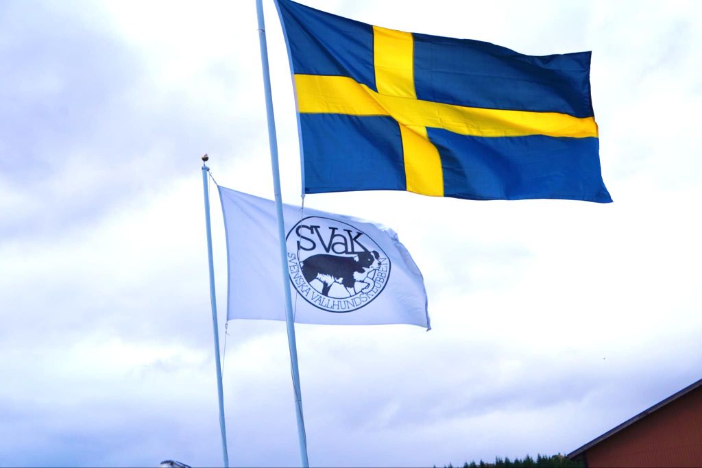 Flaggor SM-får 2025