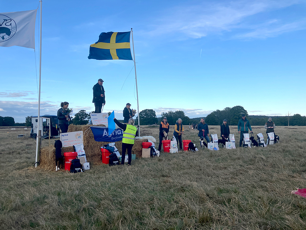 Prisutdelningen på Unghunds–SM