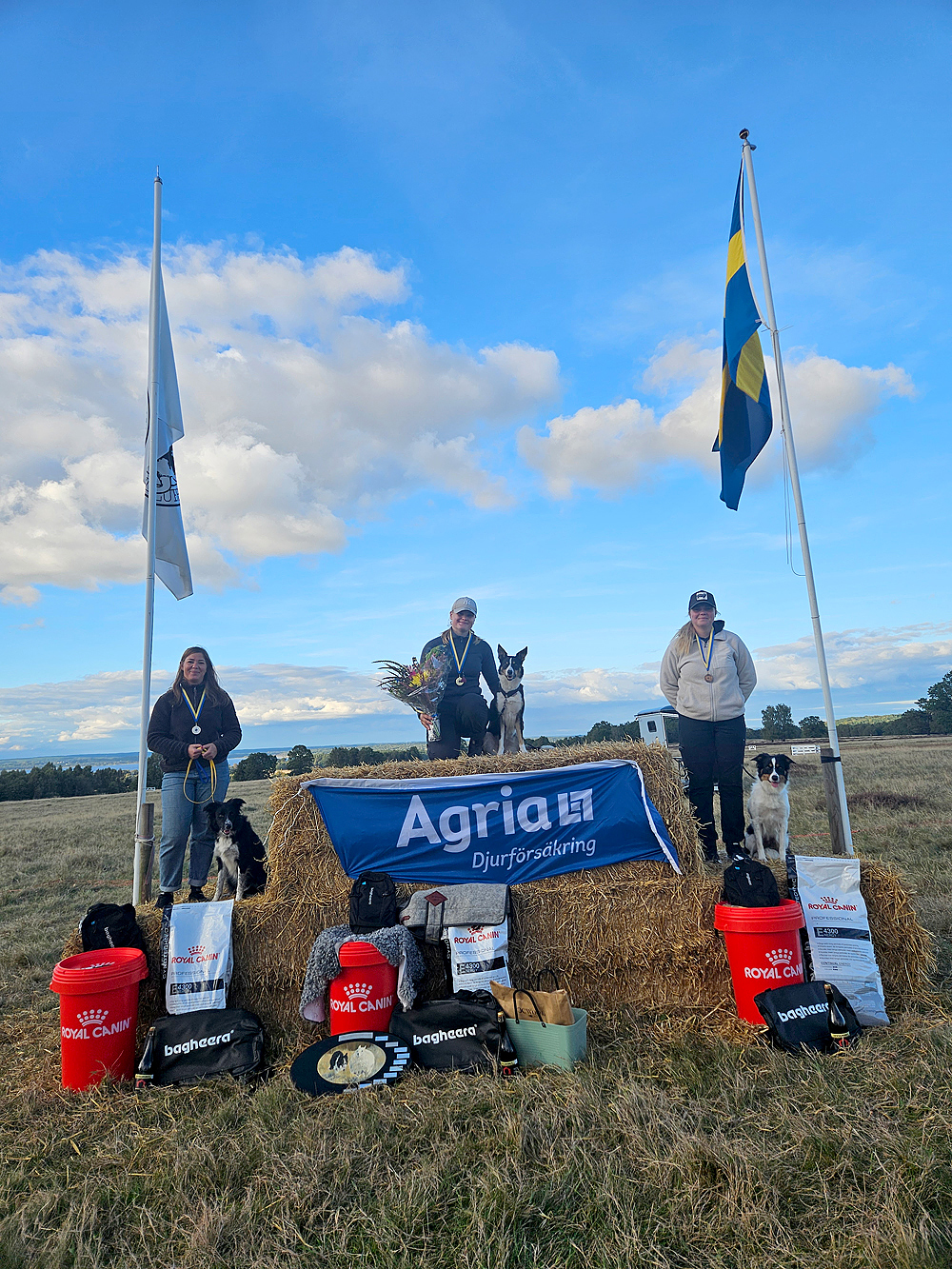 Pallen på Unghunds-SM