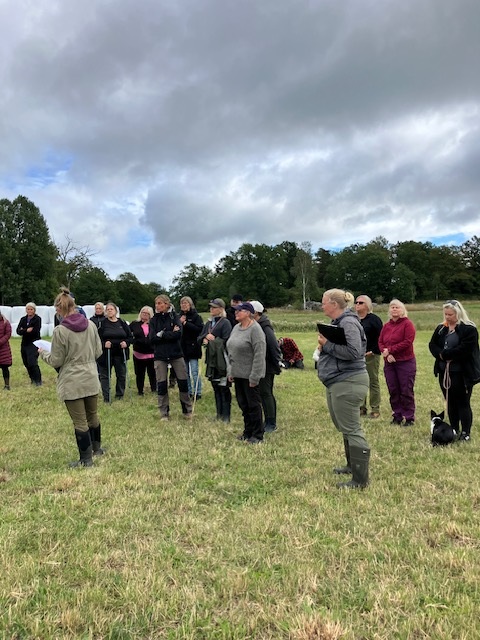 Klubbdag Upplands VK