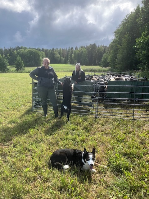 KM blev till en Klubbdag