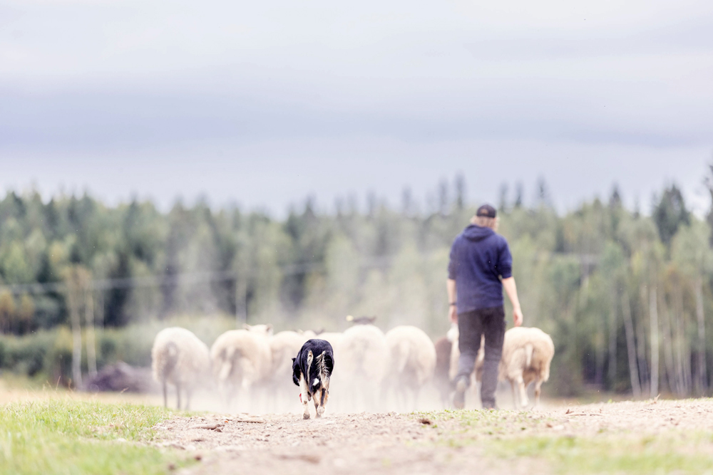 Det här ska jag göra resten av mitt liv