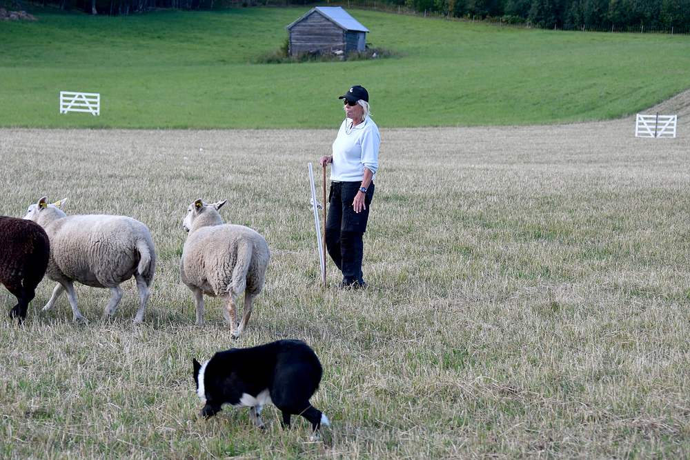 ”Det här vill jag ägna resten av livet åt”