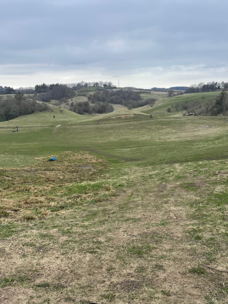 Vy över hillsen på Roeldogbakken