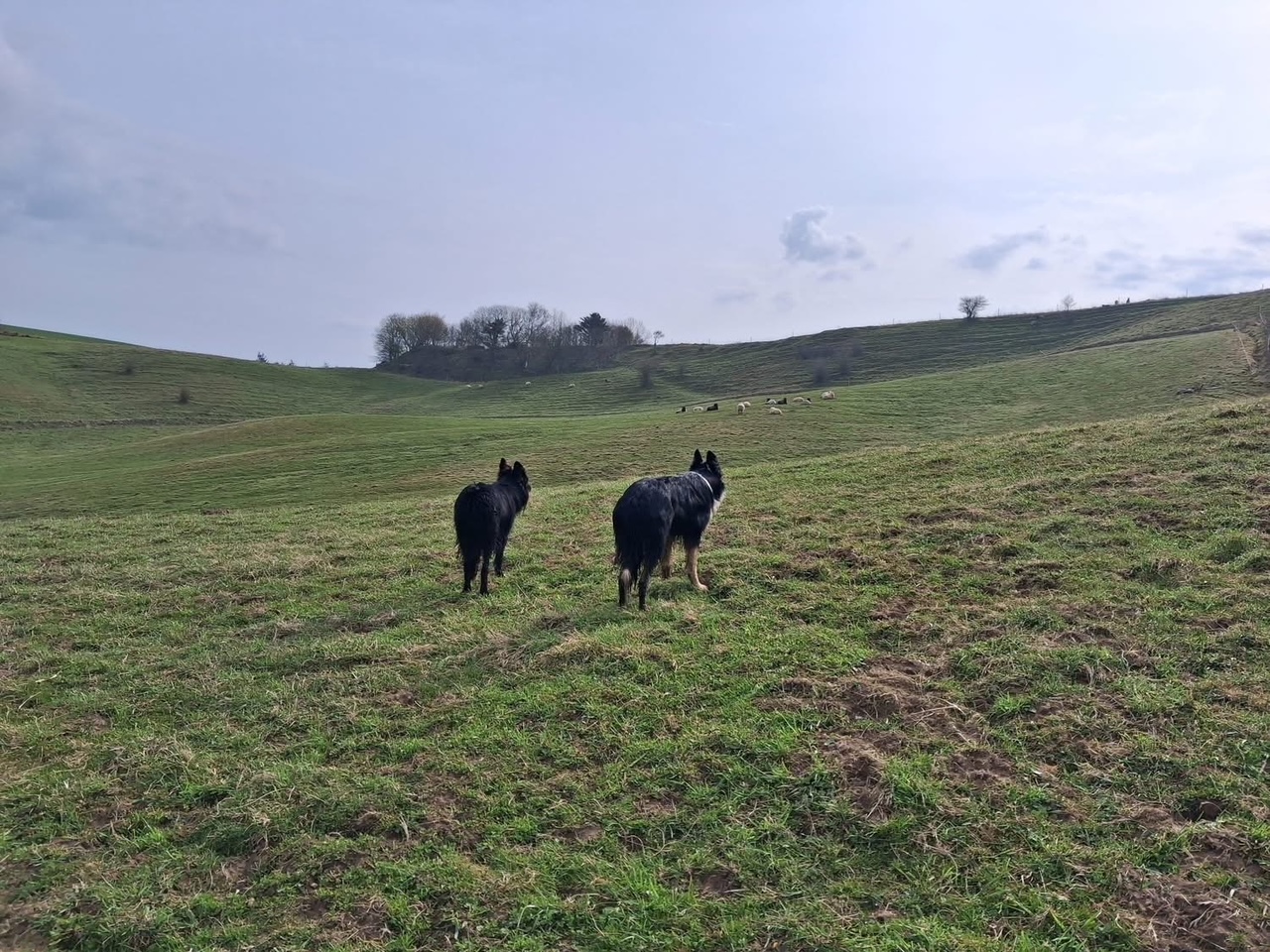 Träningsdagar på Roeldogbakken