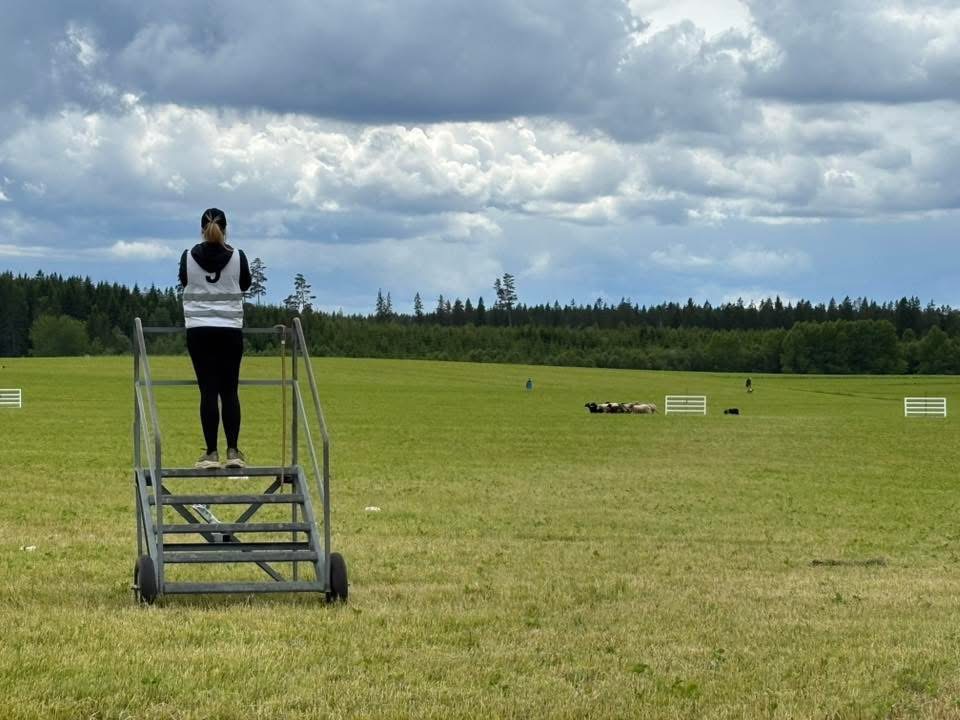 Tävlingsbild